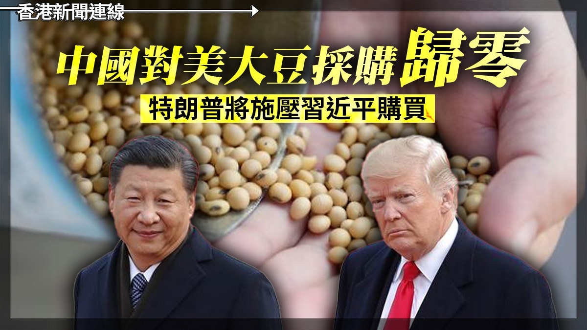 中國對美大豆採購歸零  特朗普將施壓習近平購買